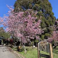 阿里山青年活動中心 Alishan Youth Activity Center