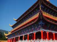 A Moment of Stillness at Guanyin Temple