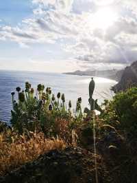 Cristol Rei, Madeira, Portugal