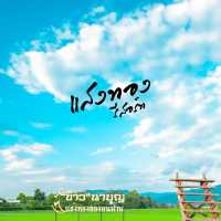 แสงทอง รีสอร์ท เชียงกลาง น่าน 