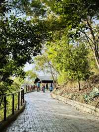 牛埔泥岩水土保持教學園區：從月世界到夢幻綠洲的奇幻旅程