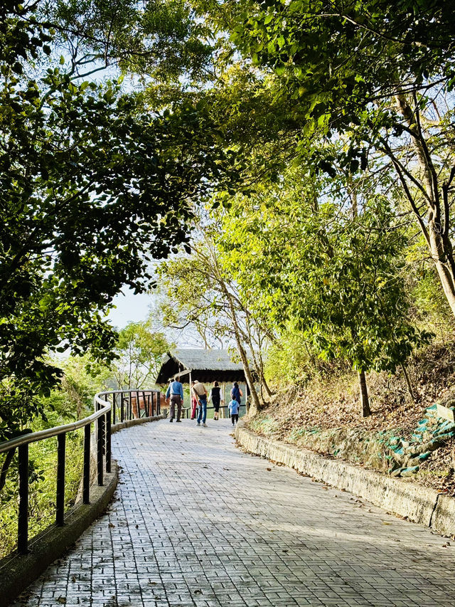牛埔泥岩水土保持教學園區：從月世界到夢幻綠洲的奇幻旅程