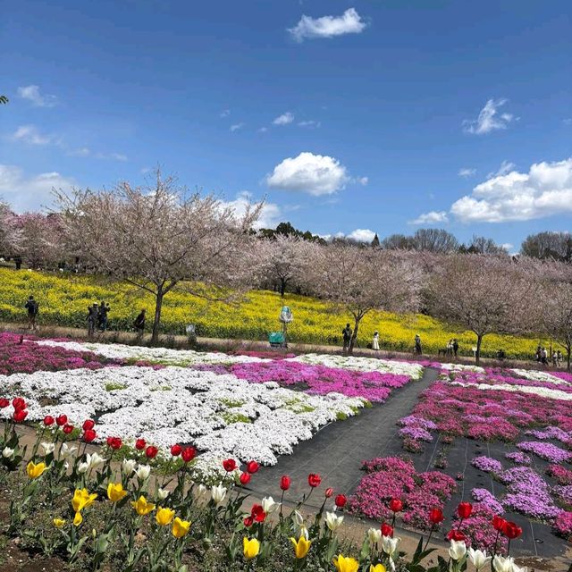 Akagi Nanmen Senbonzakura, Gunma