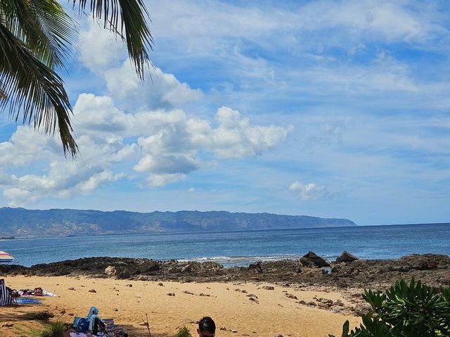 [🇺🇸オアフ島] ノースショアで楽しむ、波と自然のパラダイス