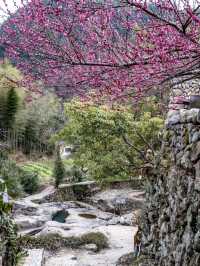 【Zhejiang • Longquan】A Lesser-Known Hidden Gem of a City