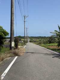 🏝️小浜島の絶景スポット「シュガーロード」🚴‍♀️