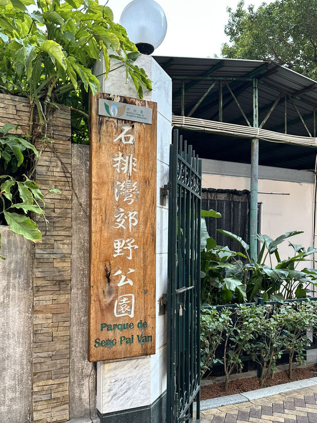 澳門免費大熊貓館🐼🌿免門票+人潮少到不可思議 ✨ 假日也能輕鬆看熊貓! 澳門免費大熊貓館🐼🌿免門票+人潮少到不可思議 ✨ 假日也能輕鬆看熊貓!