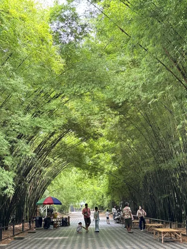 Take a relaxing stroll at "Bamboo Forest at Wat Chulabhorn" | Trip.com Ban  Na