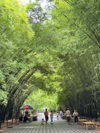 ไปเดินเล่นชิลล์ๆ ที่ “ป่าไผ่วัดจุฬาภรณ์” นครนายก