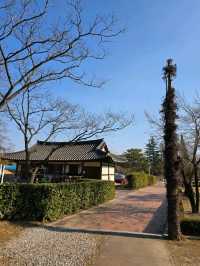 ⚘️🪴강원도 강릉 여행지 명소 강릉 오죽헌 