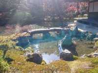 【京都】銀閣寺で日本庭園を楽しむ