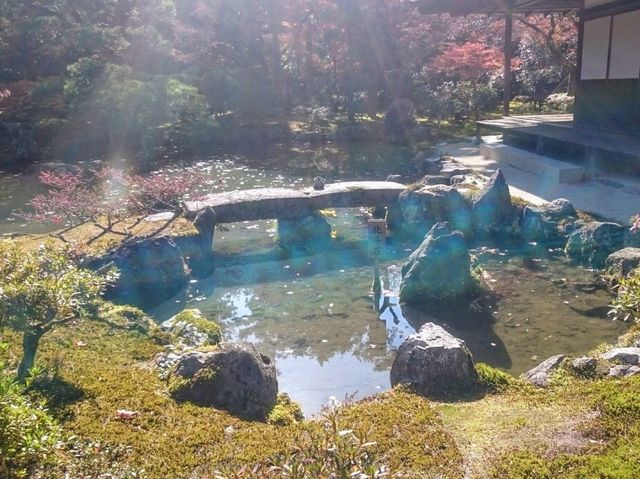 【京都】銀閣寺で日本庭園を楽しむ