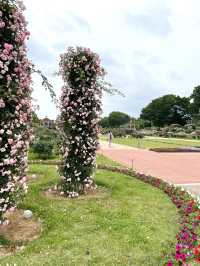 【群馬】600種7000株の薔薇の楽園