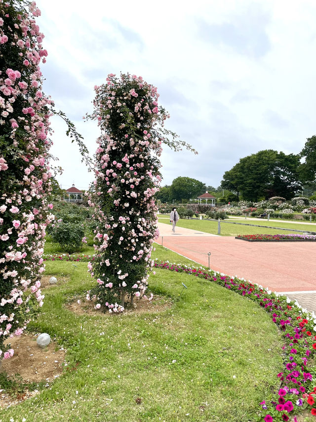 【群馬】600種7000株の薔薇の楽園