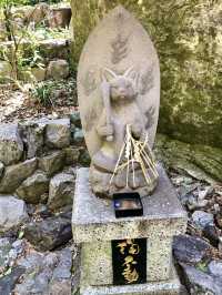 Cat Lover’s Paradise: Spring at Ōmatsu Daigongen