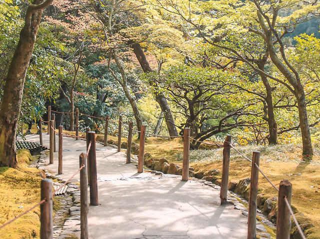 은각사 조경이 예쁜 곳