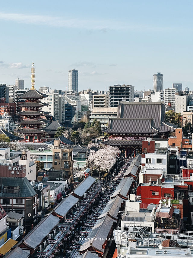วัดเซ็นโซจิ (Sensoji Temple)🏮✨