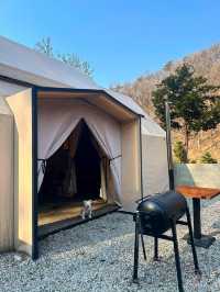 작년에 오픈한 신상 개별 글램핑장에 몸만 오면 끝❤️‍🔥