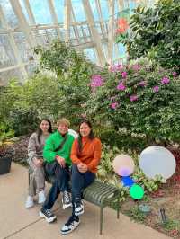 A Scenic Forest Urban Park in South Korea