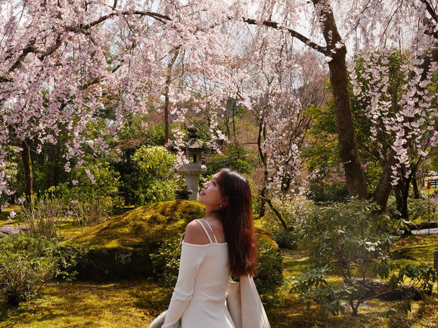 京都嵐山賞櫻好去處