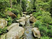 🍃 Zen Vibes Only: A Peaceful Pause at Bukit Tinggi’s Japanese Garden 🏯✨