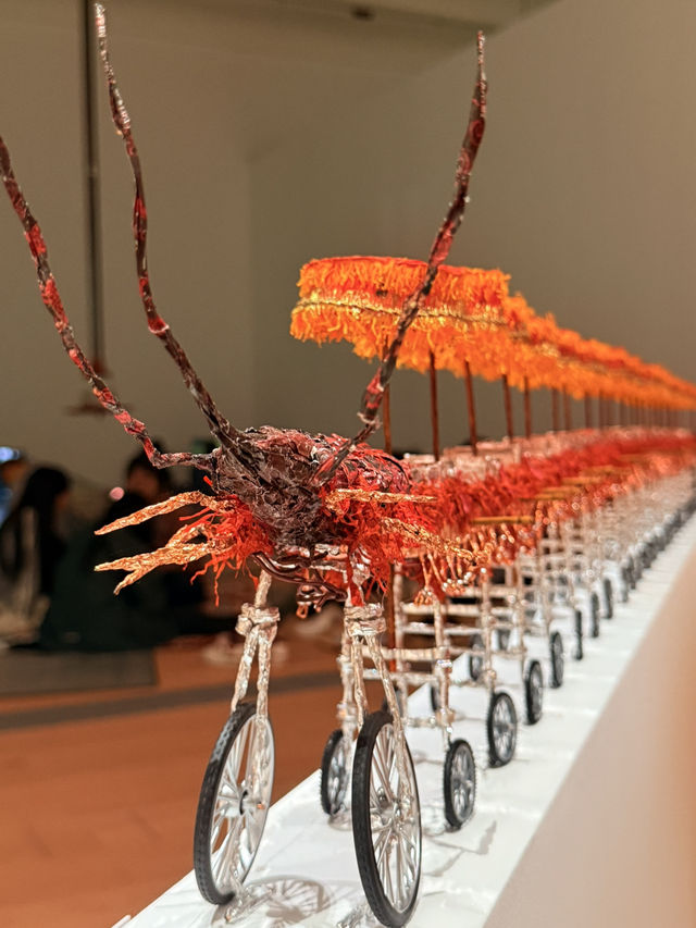 新北市｜新北市立美術館開幕 四大展六月底前免費入場