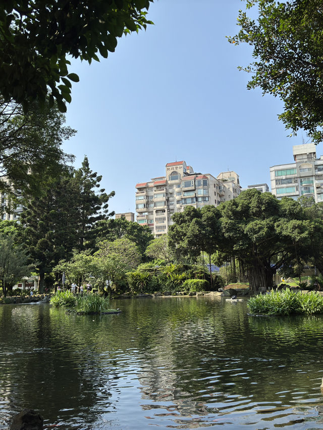 台北｜雲漢池｜城市中的靜謐之地