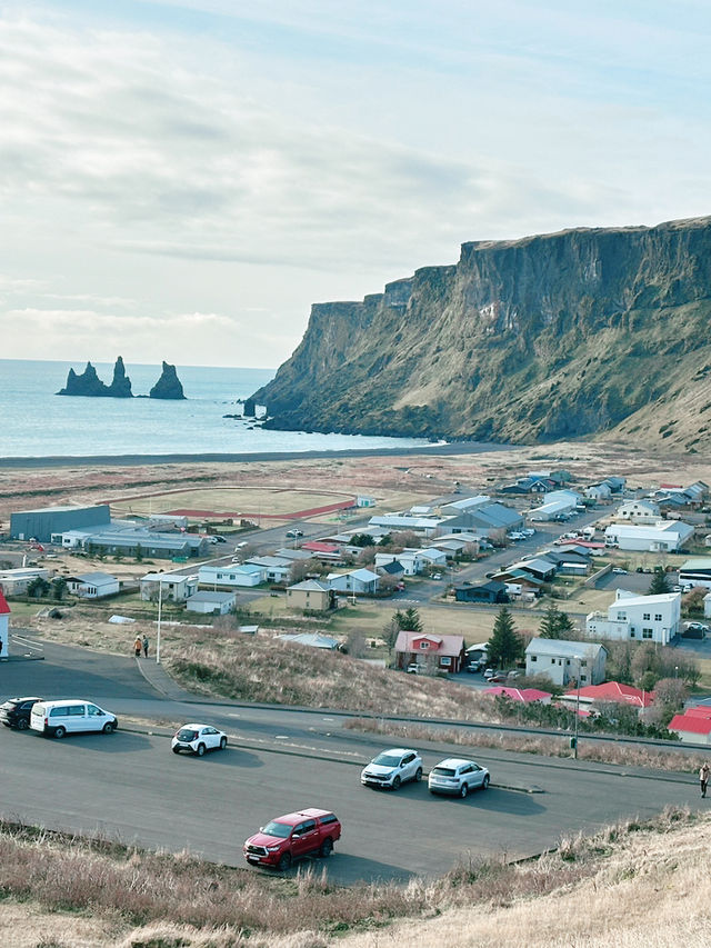 ✨Day 5: From Black Sand Beaches to Reykjavik Streets: A Day of Icelandic Wonders!