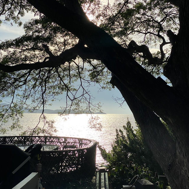 芭堤雅🇹🇭必去沙灘海景餐廳🏖️😍