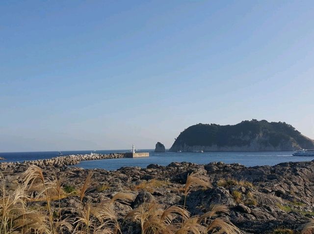 제주 새섬