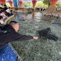 珠海長隆飛船酒店及海洋王國