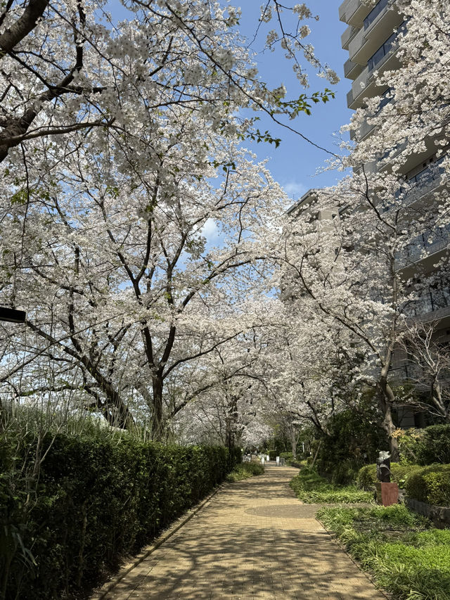 📍多摩川ガス橋緑地/東京