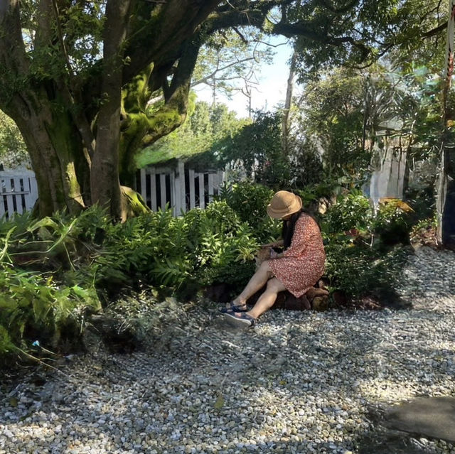 走訪陽明山散策尋美食
