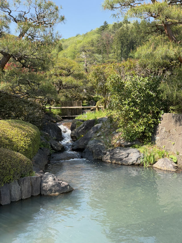 南湖公園の芝生エリアで池を眺めてのんびりタイム】