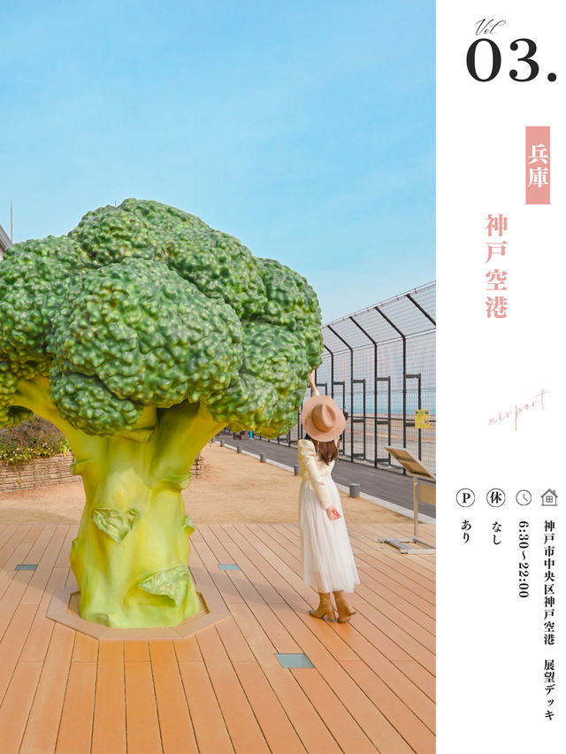 映えオブジェ６選🍠🧅🥦🍏🎃😋