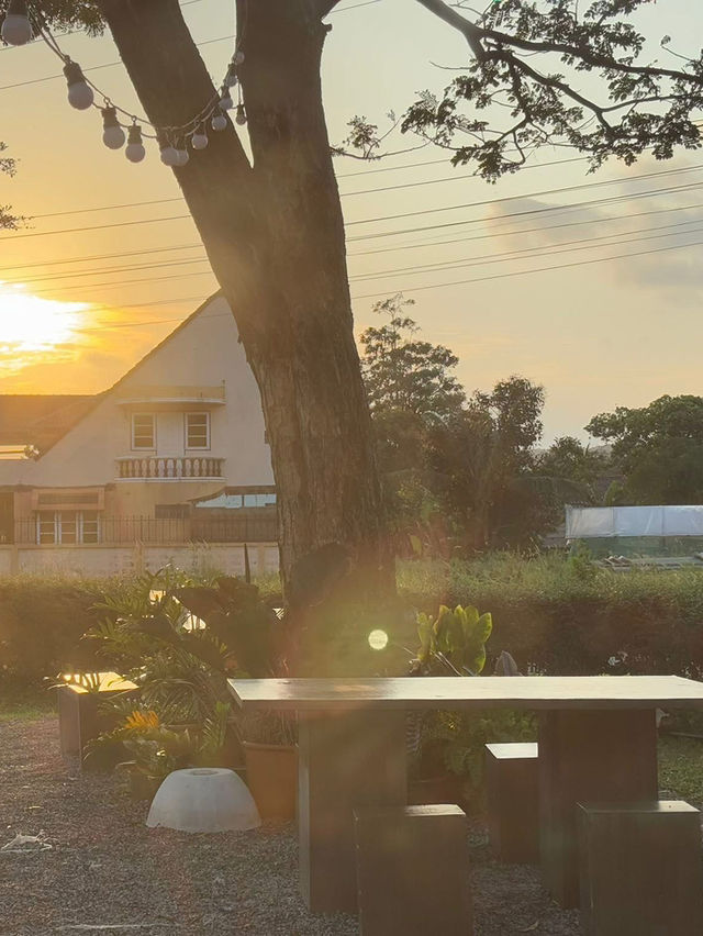 Sensha Cafe & Eatery Halal
