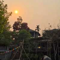 บ้านแซวการ์เด้น แอนด์ รีสอร์ท 🌳🏪