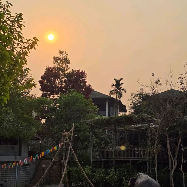 บ้านแซวการ์เด้น แอนด์ รีสอร์ท 🌳🏪