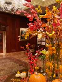 ✨ Regal Retreat in the Heart of Osaka – The Ritz-Carlton ! ✨