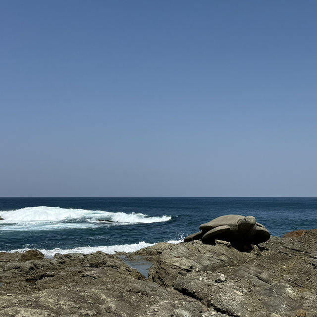 海と水槽が一体化？！温泉地から近い、城崎マリンワールド