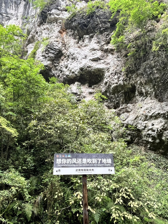 Wulong Karst Landscape – A Cinematic Day in Nature