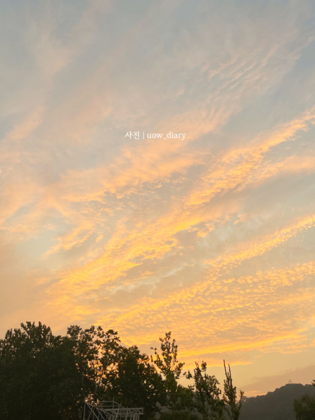 대전 대덕구에서 즐기는 1일 나들이 🧸🍀🌸