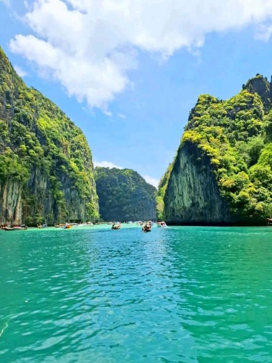 อ่าวมาหยา เกาะพีพีเล
