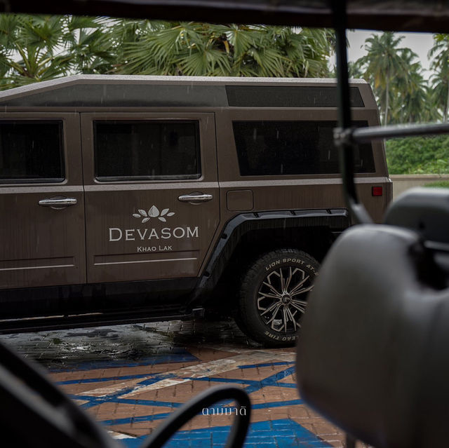 𝗗𝗲𝘃𝗮𝘀𝗼𝗺 𝗦𝗼𝗹 𝗙𝗲𝘀𝘁𝗶𝘃𝗮𝗹 𝟮𝟬𝟮𝟱 🏝