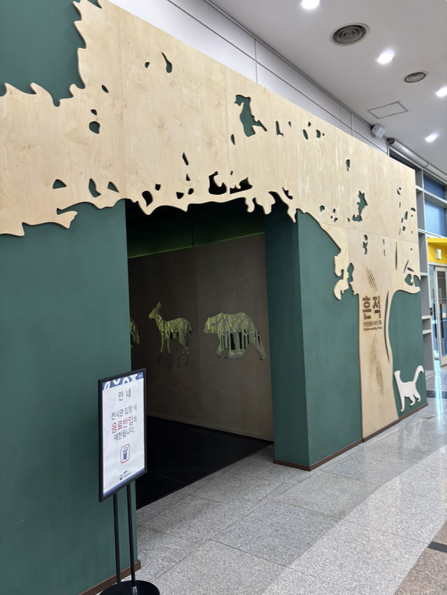 외국인과 가기 좋은 한국 여행 박물관 가이드⭐️