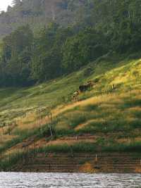 เขื่อนขุนด่านปราการชล นครนายก