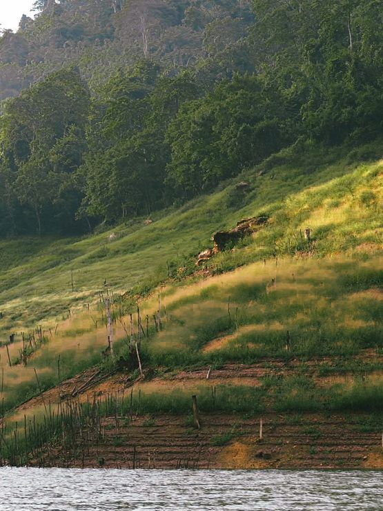 เขื่อนขุนด่านปราการชล นครนายก