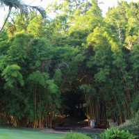 ​喜士定公園 - 寬廣綠港