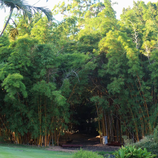 ​喜士定公園 - 寬廣綠港