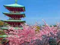 Hiroshima: A Journey Through Resilience and Remembrance
